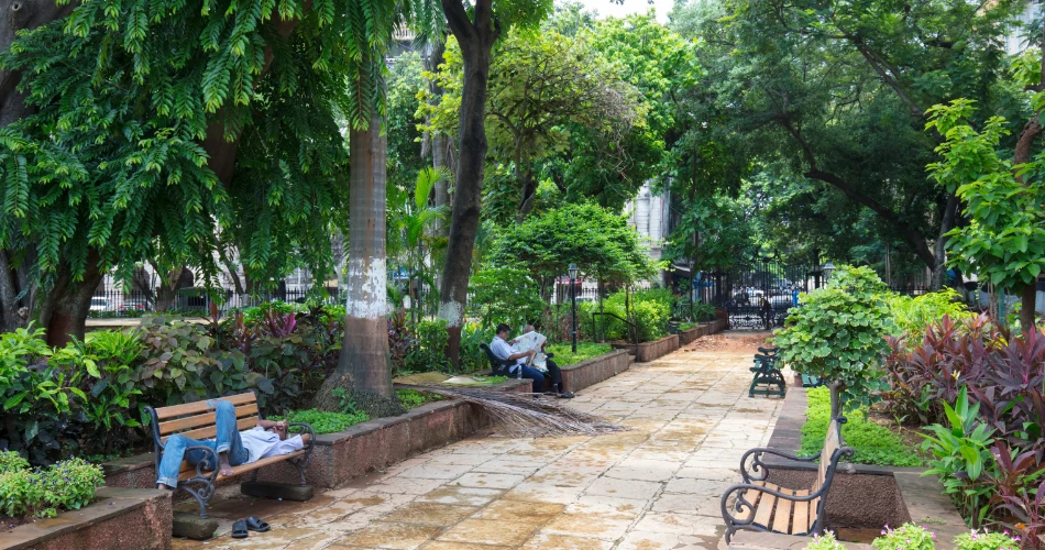 Exploring Mumbai’s Heritage: A Walking Tour Around Flora Fountain