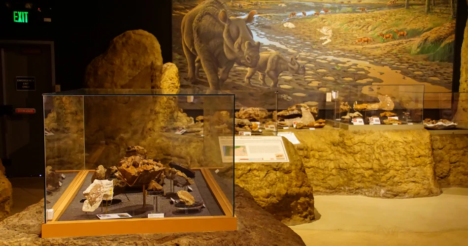 Art and Heritage at Chhatrapati Shivaji Maharaj Museum, Mumbai